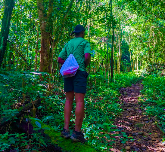 Kanuni za Utalii wa Misitu