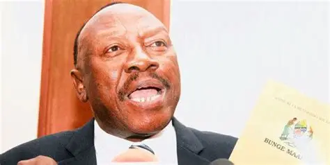 Lipumba Aonya Vyombo vya Ulinzi Kuingilia Siasa Ujenzi wa Demokrasia