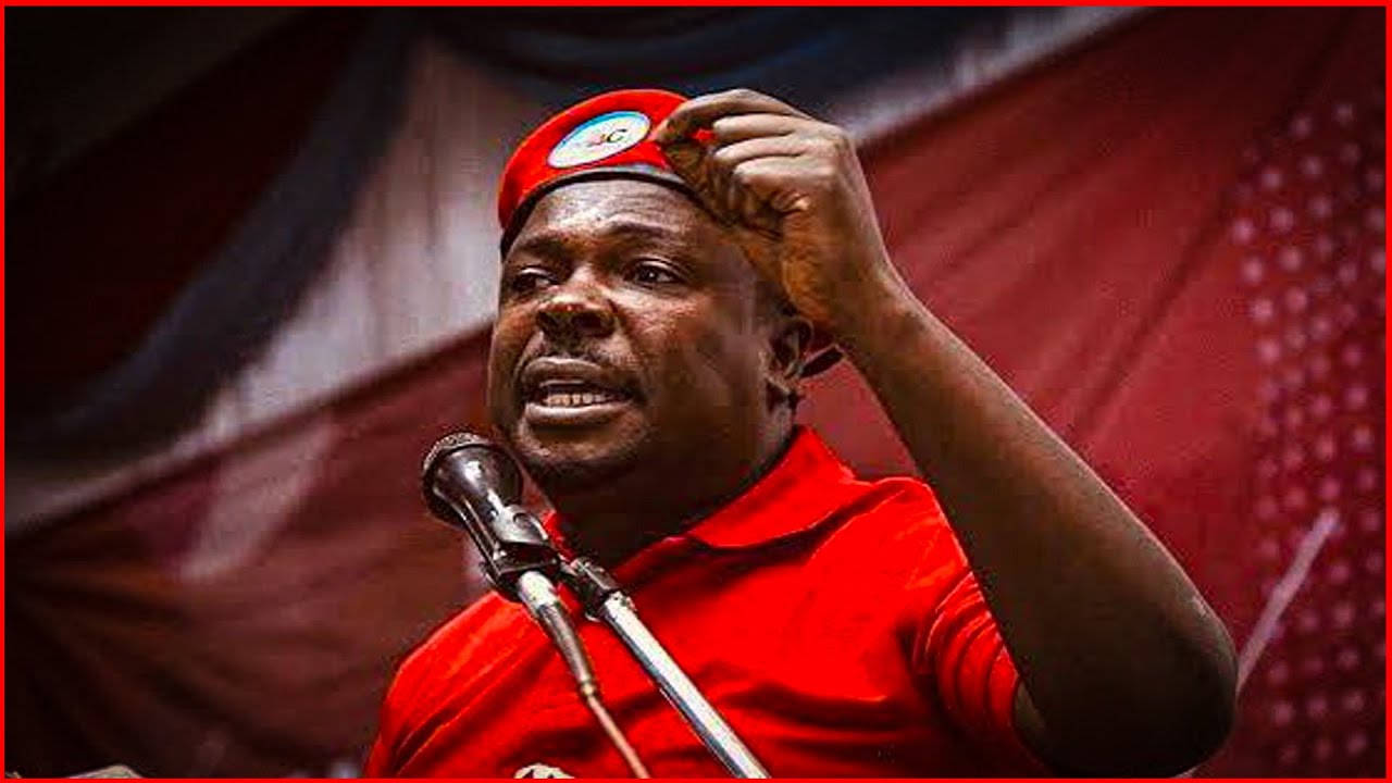 Wakili Mwasipu, Heche Anatuhumiwa kwa Ugaidi