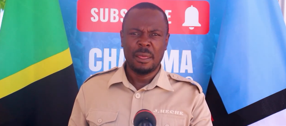 Heche Aibuka na Serikali ya Mseto