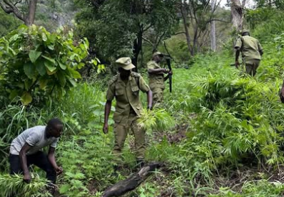 Shamba la Bangi Hekta 2.5 Lateketezwa Moro