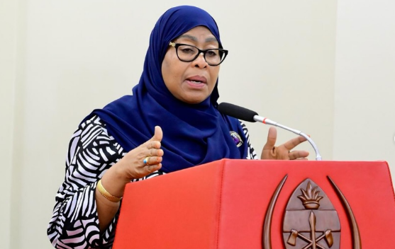 Rais Samia Kuhusu Kuongeza Mishahara ya Majaji