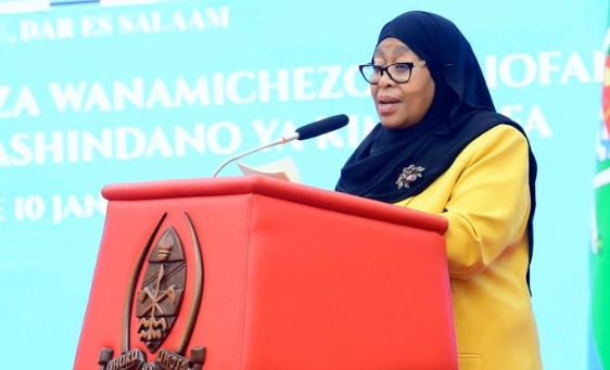 Rais Samia Awapa Pole Mabalozi Kuzimiwa Intaneti