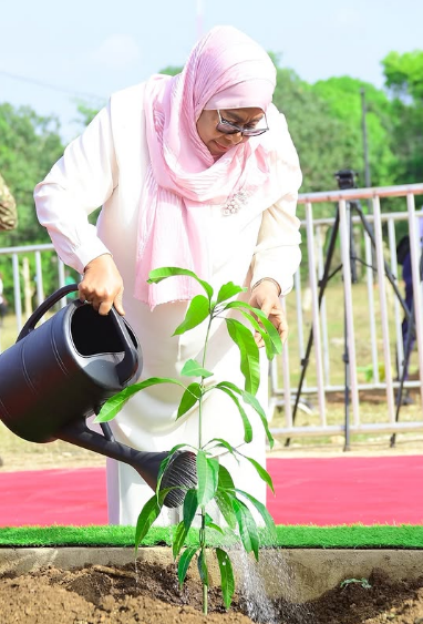 Rais Samia na Mti wa Muembe Siku ya Kuzaliwa