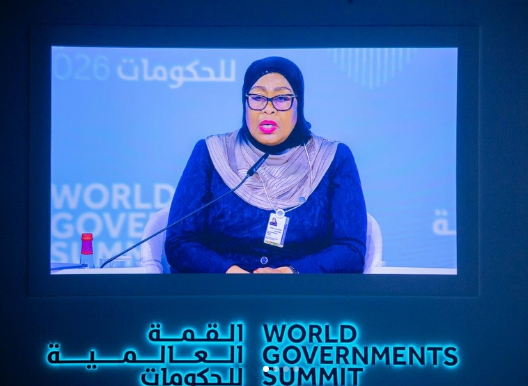 Samia, Wawekezaji Wanatafuta Uthabiti wa Sera