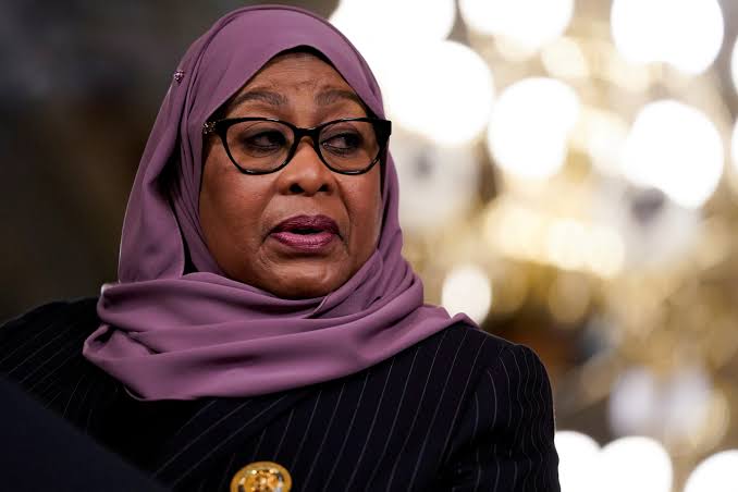 Samia awaonya Wanaharakati