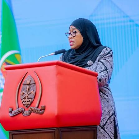 Tume ya Rais ya Uchunguzi wa Wahusika wa Ghasia na Ukiukwaji wa Sheria
